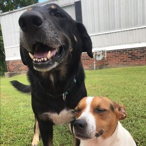 Meet your Posher, Ashton